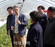 [포토] 참외 피해농가 찾은 강호동 농협회장