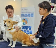 "무료로 동물등록 하세요"…서울시수의사회, 케이펫페어 참가