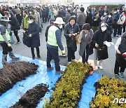 춘분 앞두고 낮 20도…토요일 남부·일요일 수도권 비 조금 [주말날씨]