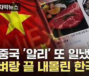 [자막뉴스] "햇반부터 장어까지"...고물가에 초저가 내세운 알리