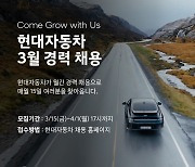 현대차, 연구개발 등 6개 부문 경력직 채용 나서