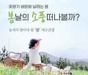 “제주의 봄은 꽃, 꽃을 찾아 떠나는 여행은 설렘이라”.. 놓치지 말아야 할 “봄, 소풍입니다”