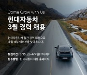 "경력직 인재 모십니다"…현대차, 다음달 1일까지 서류 접수