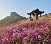 ‘산청, 철쭉에 물들다’ 제40회 산청황매산철쭉제 4월27일 막 올린다