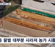 올해도 절반 이상 벌통에 꿀벌이 없다…과일 생산 '비상'