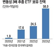 "해외투자 큰손된 개미들 일방향·편중 투자 심해"