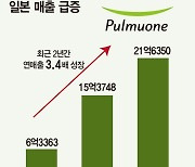 역대 최고 실적 ‘풀무원’ 비결은?  K-두부 열풍…해외서도 통한 ‘바른 먹거리’