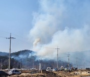 영덕서 화물차 불, 야산으로 번져…1명 사망·산불 진화중(종합)