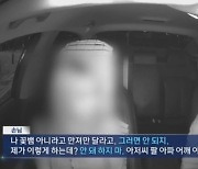 택시기사에 "나 꽃뱀 아니니 만져달라고"···20대女 '강제추행죄' 인정