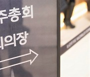 밸류업이 '울프팩 한탕주의' 자극···"업종·기업별 특징 반영해야"