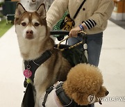 '펫페어 너무 좋다'