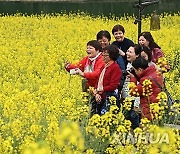 CHINA-GUIZHOU-ZUNYI-SPRING-VIEW (CN)