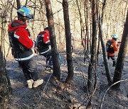 경북 영덕 산불 1시간 40여분 만에 진화…시신 1구 발견(종합)