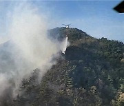 강원 정선 산불 25분 만에 꺼져…"불법소각 행위 자제"