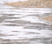 [날씨] 밤사이 전국 빗방울…내일 맑지만 '찬 바람' 주의