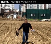 "쇠구슬 새총으로 야생동물 학살"…동물권행동 카라, 외국인 2명 고발