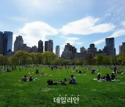 뉴욕의 선택…노른자위 땅에 ‘빌딩’ 대신 ‘공원’을 [환경은 어쩌고②]