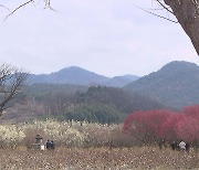 대구·경북 맑다가 오후부터 차차 흐려져···낮 최고 15~21도