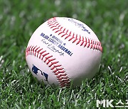 고척돔 잔디에 MLB 공인구 [MK포토]