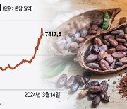 "단 게 당겨" 아무리 먹어도 비싼 가격에 씁쓸?…179% 뛴 코코아