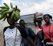 [포토] 국경 시장서 산 바나나 지고 가는 아이티인