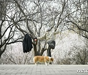[포토] 봄 찾아온 중국 베이징