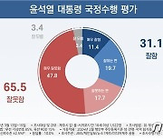 '대통령 국정수행' 제주도민 65.5% '부정'…긍정 31.1%