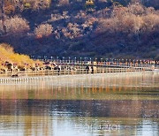 더 미루지 마세요! 3월 이후 반년이상 기다려야 만날 수 있는 '철원한탄강 물윗길'