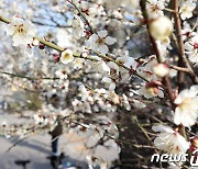 20일 '춘분' 아침까지 전국 비…강풍에 체감 영하권[내일날씨]