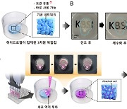 즉석밥 먹듯 보관된 생체재료칩을 꺼내 바로 쓴다