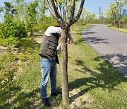 '세종수목원 탄소흡수량 1년 1155톤' 산림탄소상쇄사업 효과 톡톡