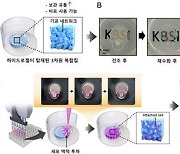 '즉석밥처럼' 필요할 때 쓸 수 있는 3차원 복합 생체재료칩 제작