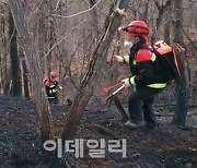 20일 전국 각지서 크고 작은 산불 이어져