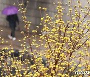 경남 '건조주의보' 화재 주의…거제·산청은 강풍주의보