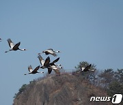 '생명의 보고' 습지 지켜라…민관 합동 토론회