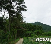 '과거시험 보러갔던 삼남대로 갈재'…정읍시, 역사관광자원으로 조성