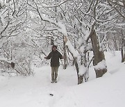 강원 산간 25cm 넘는 봄눈...봄과 겨울의 공존