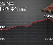 비트코인, 한때 9000만원 밑으로… ETF 자금유출·차익 실현에 투자 심리 냉각