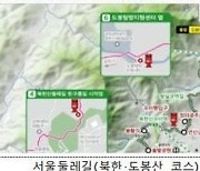 '집콕 말고 숲콕!'…청년·중장년 1인가구, 함께 걸어요