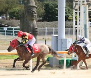 렛츠런파크 제주 전현준 기수, 데뷔 19년 만에 '1000승 금자탑'