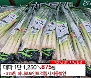 대통령 온 날 대폭 할인 논란…1주일 전 2760원에 팔던 대파, 875원에 판매