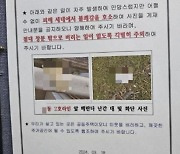 “창 밖으로 콘돔 버리지 마세요”…아파트 승강기에 붙은 민망한 공고