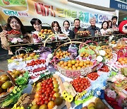 대저토마토축제 놀러오이소!