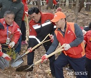 나무심고있는 김두겸시장