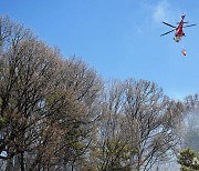 광주 동구 산불