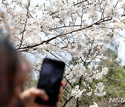 봄이 왔어요