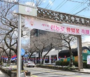 '벚꽃 없는 벚꽃축제' 될 판…"벚나무야 힘내줘"