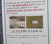 “제발 창문 밖으로 피임도구 버리지 말아주세요”