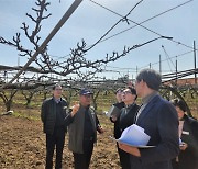 과수 개화시기 빨라 저온 피해 우려