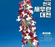 신안군, 4월 20일부터 ‘새우란 대전’ 개최